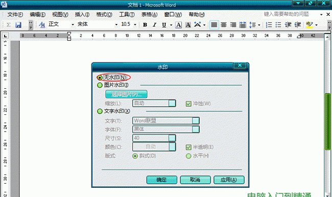 Word2003文檔中怎么樣去水印