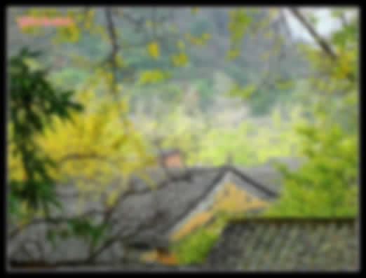 用photoshop打造照片仙境晶瑩之美
