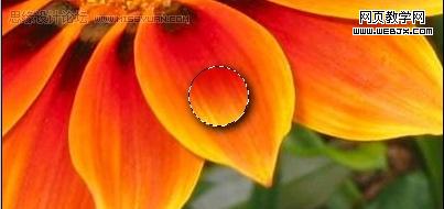 photoshop入門教程:繪制質(zhì)感水珠_網(wǎng)頁設(shè)計