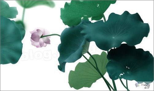 photoshop鼠繪精美荷花教程 photoshop鼠繪精美荷花教程