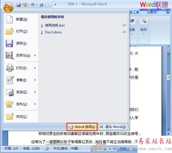 word選項