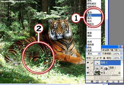 photoshop教程:光影處理照片的技術(shù)