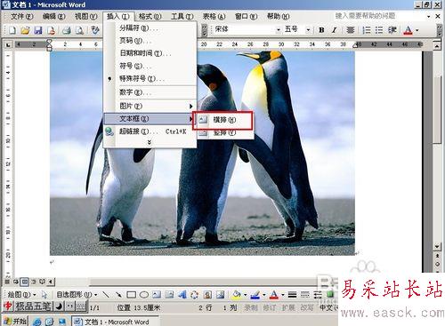 怎樣用Word給圖片加水印