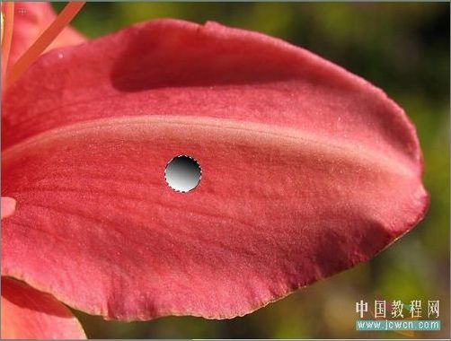 photoshop輕松繪制樹葉上的露珠_網(wǎng)頁設(shè)計webjx.com整理
