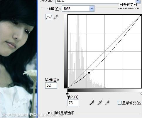photoshop把圖片調成冷艷憂郁色調-www.webjx.com