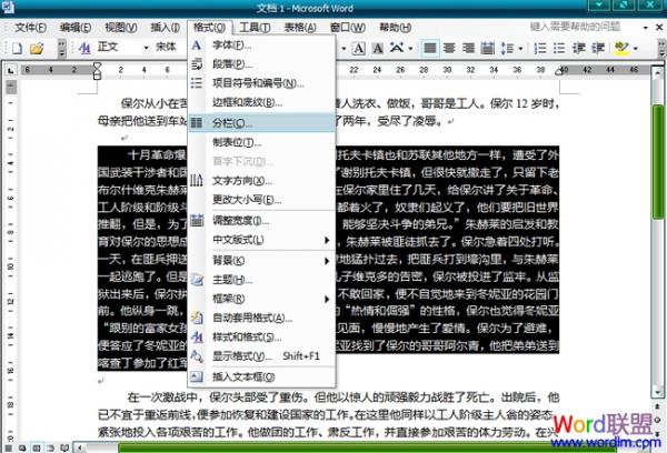 Word2003文檔中怎么分欄