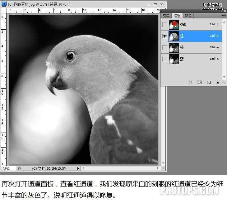 photoshop通道教程:修復(fù)通道調(diào)圖片-網(wǎng)頁設(shè)計(jì)