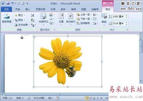 Word 2010去除圖片背景小技巧