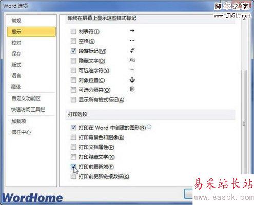 打印前更新域復(fù)選框