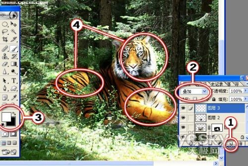 photoshop教程:光影處理照片的技術(shù)