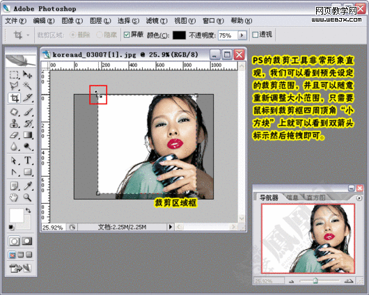 photoshop教程:制作淘寶網(wǎng)網(wǎng)店店標