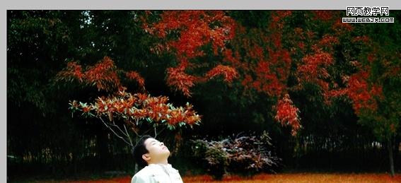photoshop婚紗照片處理:唯美暗調(diào)婚片_網(wǎng)頁設(shè)計
