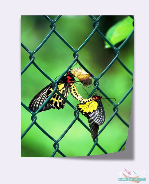 photoshop實(shí)例教程:打造照片立體環(huán)境效果-網(wǎng)頁設(shè)計