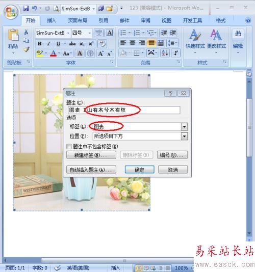 給word中的圖片添加注釋的方法