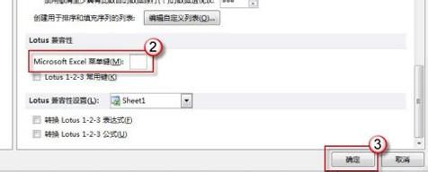 在Excel2010中不能輸入斜杠怎么辦