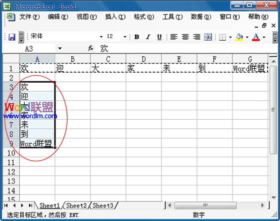 Excel2003中怎么將行中的數(shù)據(jù)復(fù)制到列中