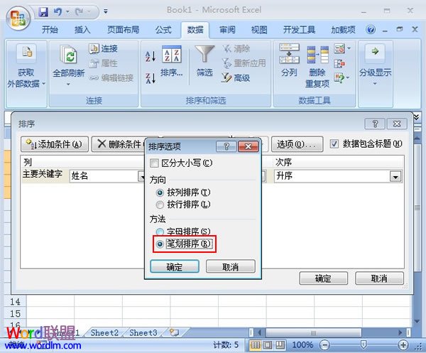 Excel2007如何設(shè)置根據(jù)筆畫排序