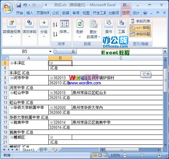 Excel2007中給復雜的數據插入數據透視表