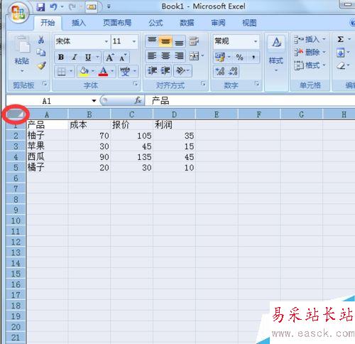 在excel表格中如何隱藏公式