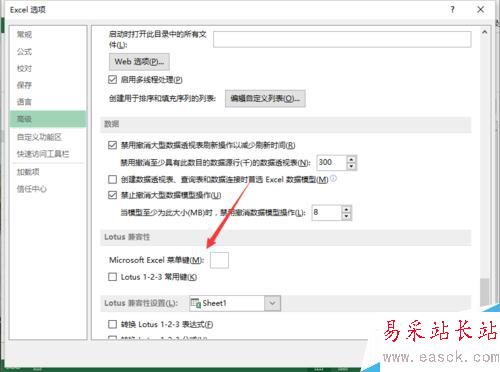 Excel2013中不能輸入斜杠的解決方法