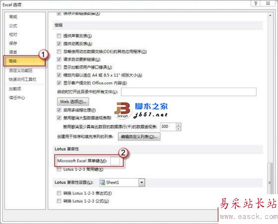在Microsoft Excel菜單鍵(M)