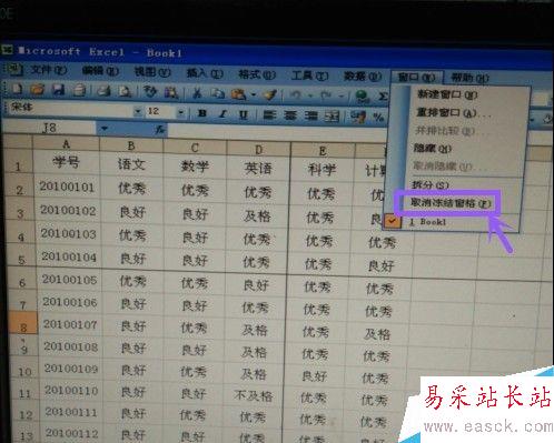 Excel表格如何凍結(jié)窗口