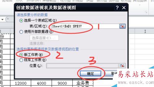 如何用EXCEL創建數據透視圖