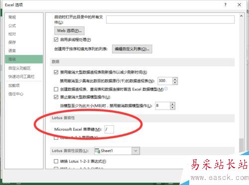 Excel2013中不能輸入斜杠的解決方法
