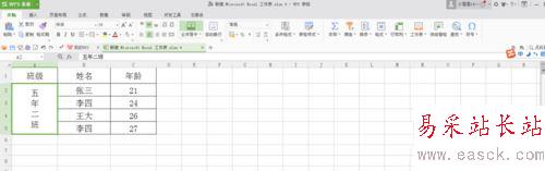excel中調整文字方向的設置方法