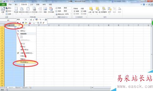 EXCEL表格隱藏行、列