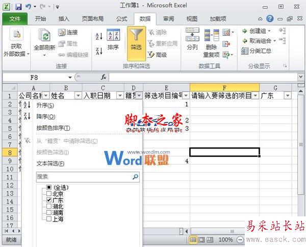 Excel2010中自定義進(jìn)行篩選并依次編號(hào)