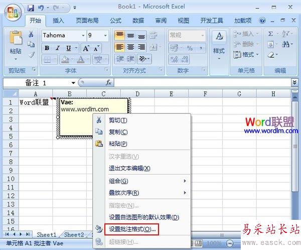 設置批注格式