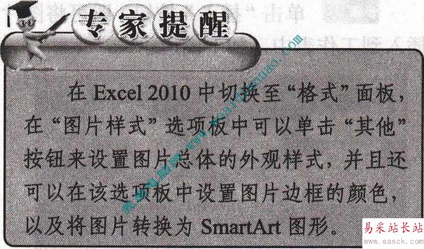 在Excel2010中設置圖片屬性