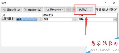 excel 2010教程之表格中的姓名按筆畫排序