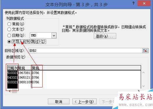 不導入此列（跳過）