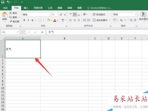 Excel2016文字怎么豎排？Excel2016文字豎向排列方法