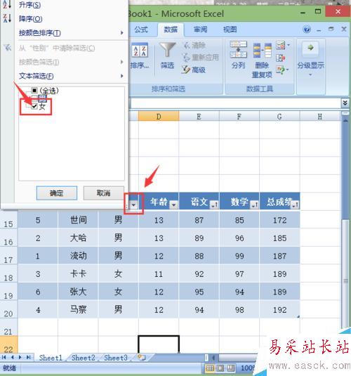 excel2007如何對編輯的內容進行排序和篩選?