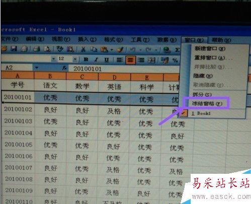 Excel表格如何凍結(jié)窗口