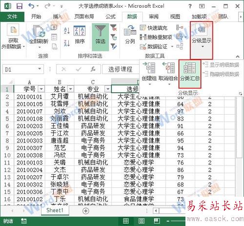 選擇分類(lèi)匯總