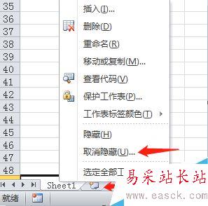 Excel2010怎么隱藏表格？Excel2010隱藏和顯示表格教程
