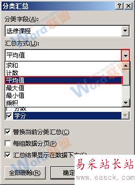 選擇匯總方式