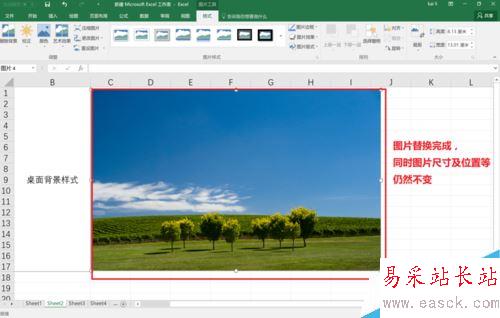 Excel2016怎么替換已插入的圖片？Excel2016替換圖片教程