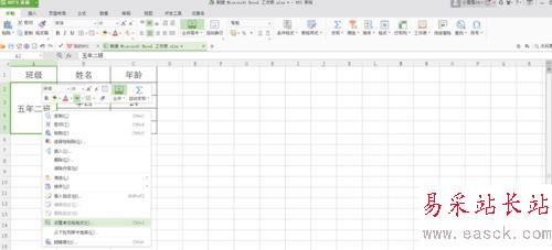 excel中調整文字方向的設置方法