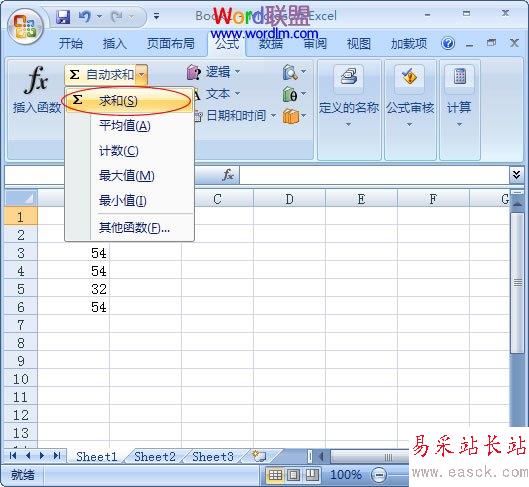 選擇自動求和中的求和