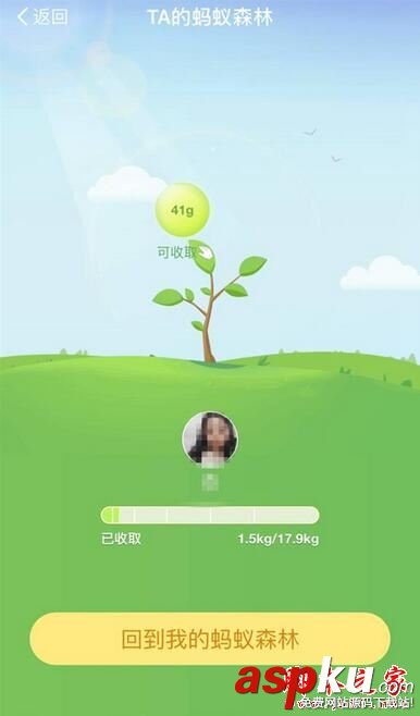 支付寶,獲得,綠色,能量,螞蟻,森林,收集