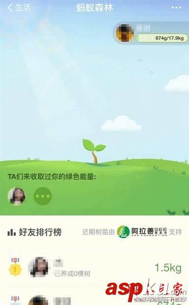 支付寶,獲得,綠色,能量,螞蟻,森林,收集