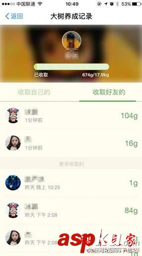 支付寶,獲得,綠色,能量,螞蟻,森林,收集