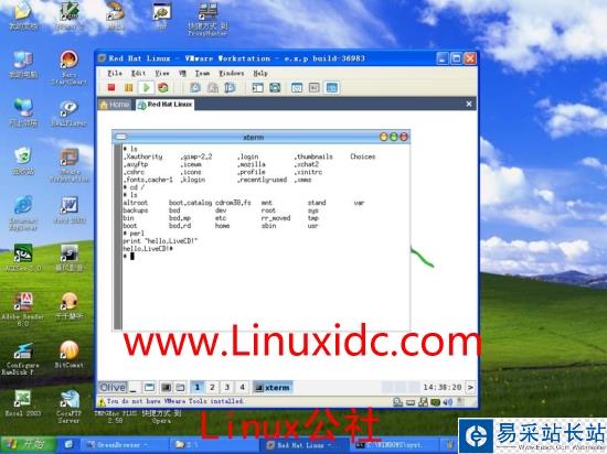 XP下用Vmware虛擬LiveCD系統(Linux)