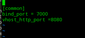 nginx,frps服務器,web,80端口