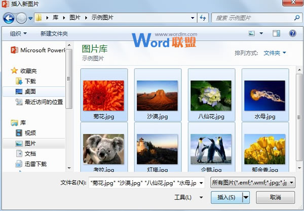 如何批量將圖片快速導(dǎo)入到PowerPoint2013中